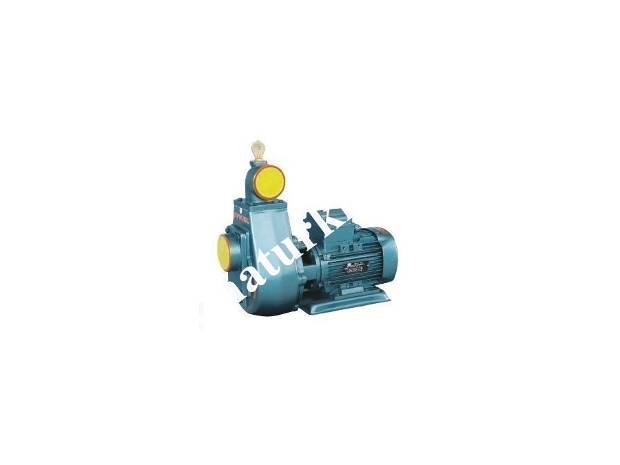 Kendinden Emişli Klapeli Monofaze/Trifaze Monoblok Elektropomplar (Ük2-1Hp) 