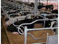 Yatak Durak Demiri - Terrahi