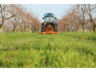 3 Bıçaklı Çim Ve Ot Biçme Makinesi 250 Cm Ras 250 - 2