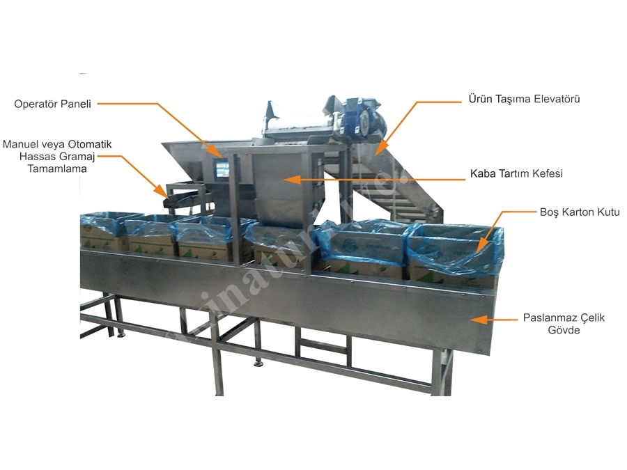 Dried Fruit Box Filling Machine