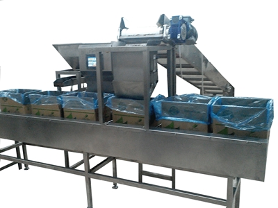 Dried Fruit Box Filling Machine - 1