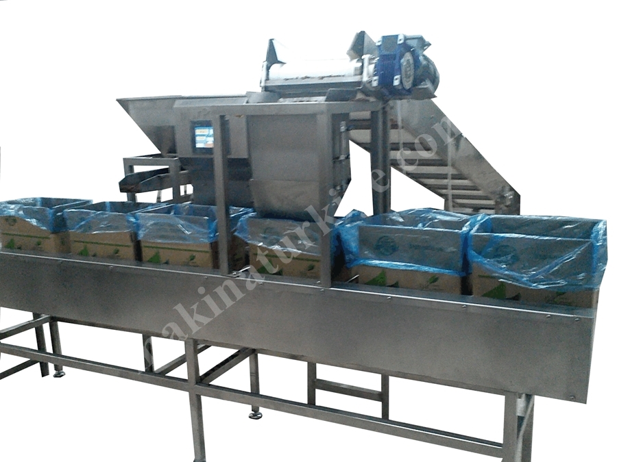 Dried Fruit Box Filling Machine