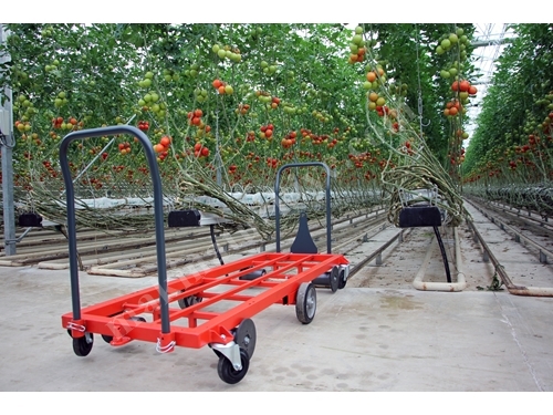 Gençgüçsan Greenhouse Harvest Cart