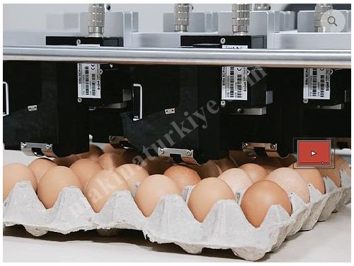 Renkli Yumurta Kodlama Makinesi  5 İnç 800*480 - Sojet Elfin VIE