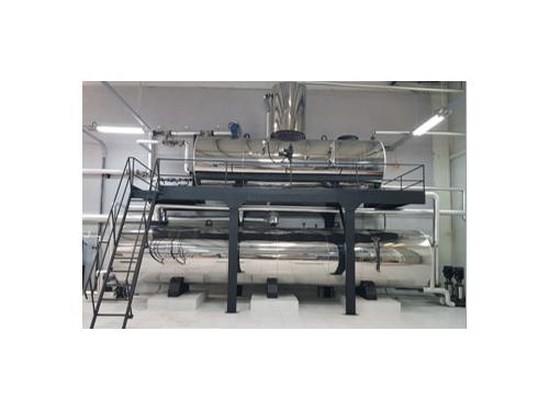 7000 Kg/Stunde Klassischer Thermischer Entgaser