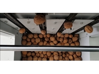 Машина для раскалывания грецких орехов на 14000 штук в час - 7