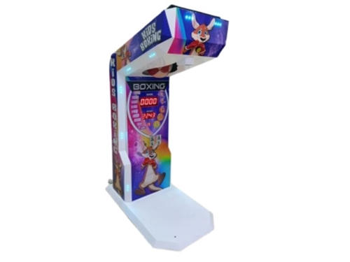 Children's Boxing Machine