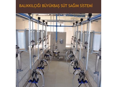 Büyükbaş Balıkkılçığı Süt Sağma Makinası - Sezer  - 0