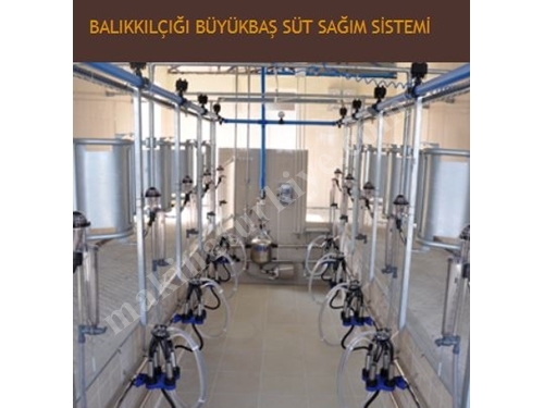 Büyükbaş Balıkkılçığı Süt Sağma Makinası - Sezer 