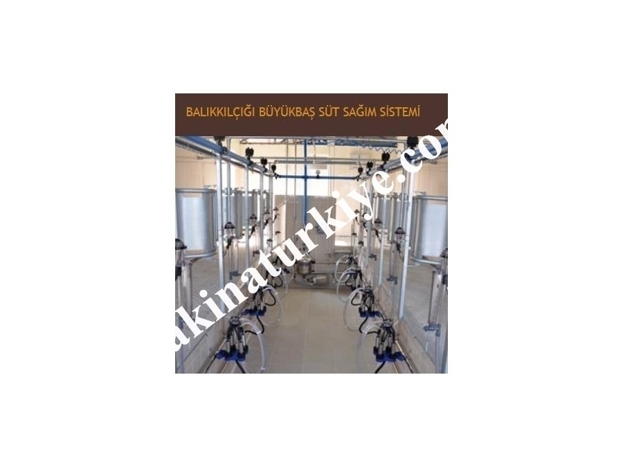 Büyükbaş Balıkkılçığı Süt Sağma Makinası - Sezer 