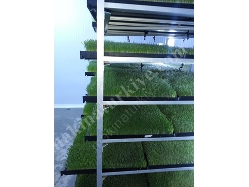 Fresh Green Feed Production Facility (365 Days Fresh Green Feed) S-1200; 6000-6200 Kg/Day