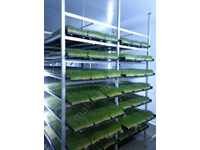Installation de production d'aliments verts frais (365 jours d'aliments verts frais) S-1200; 6000-6200 kg / jour - 3