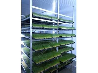 Taze Yeşil Yem Üretim Tesisi (365 Gün Taze Yeşil Yem) S-1200; 6000-6200 Kg / Gün  - 3
