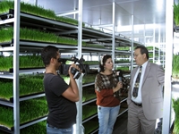 Installation de production d'aliments verts frais (365 jours d'aliments verts frais) S-3200 ; 8.000-8.200 Kg/Jour - 0