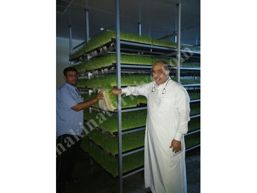 Installation de production d'aliments verts frais (365 jours d'aliments verts frais) S-3200 ; 8.000-8.200 Kg/Jour