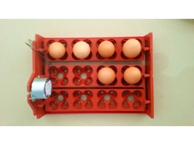 12'Li Kuluçka Makinesi EFE-12 - 3