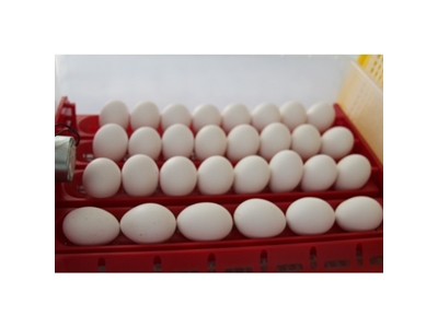 120'Lik Kuluçka Makinesi Efe-120 - 6