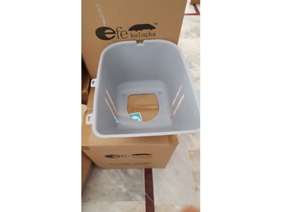 EFE 1127 Tavuk Folluğu  - 1