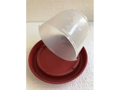 2 Litre Tavuk Suluğu  - 1