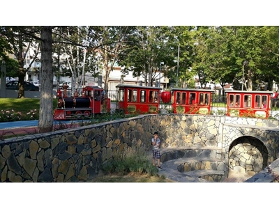Akülü Gezi Treni Park E-01 - Battery Sightseeing Train Park E-01  - 4