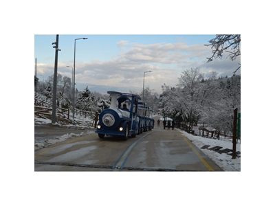 Dizel Elektrikli Gezi Treni / Efe Express - Diesel Electric Sightseeing Train  - 4