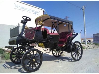 Akülü Fayton - Battery Phaeton / Carriage  - 5