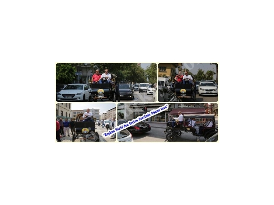 Akülü Fayton - Battery Phaeton / Carriage 