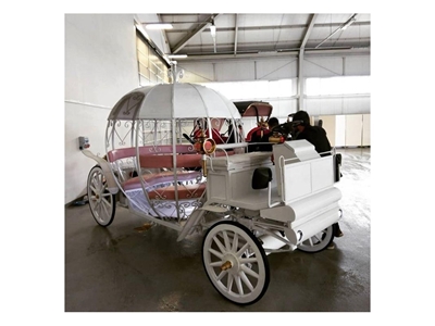 Akülü Gelin Faytonu - Cinderella Phaeton / Carriage  - 2