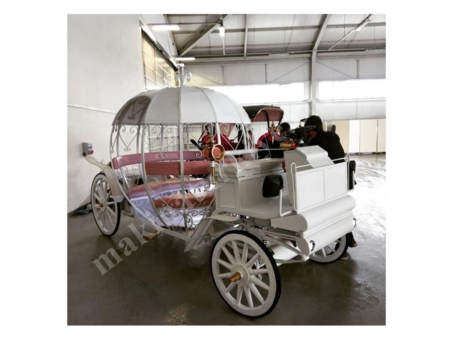 Akülü Gelin Faytonu - Cinderella Phaeton / Carriage 