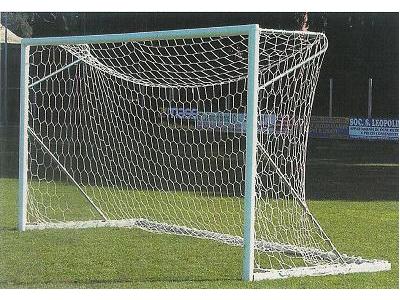 Beyaz Renk 4X2 Metre Altıgen Kale Ağı - 1
