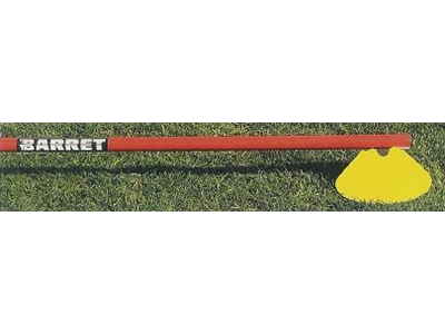 15 Cm 3 Color Training Cone - 2