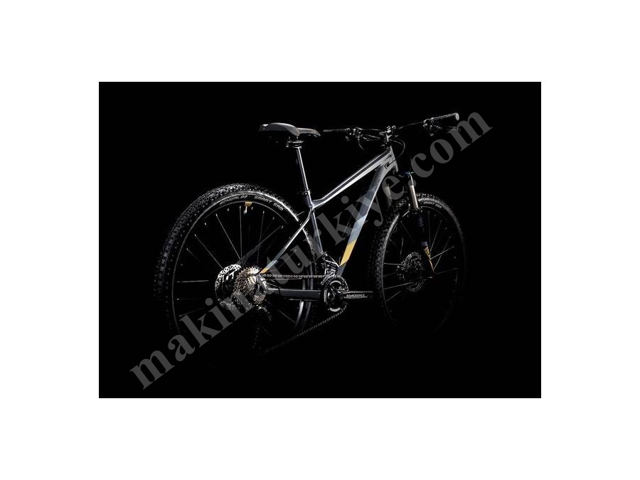 Kadın Dağ Bisikleti (İridyum, Gold) 13,5 İnç - Cube Access Ws Sl