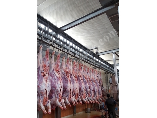 Sığır İşleme Konveyörü Göktuğ