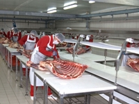 Fully Automatic Meat Cutting Lines - 1