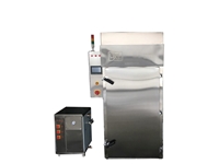 Single Car Sausage Oven Meat Smoking Oven - 1