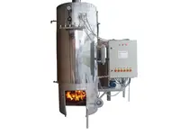 Générateur de vapeur à combustible solide de 500 kg