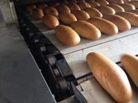 3000-5000 pieces/hour Sandwich Bread Tunnel Oven - 1
