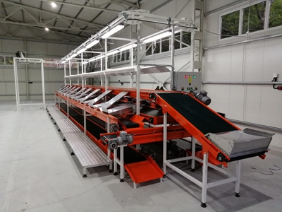 P-KK001 Vegetable and Fruit Box Conveyor - 1