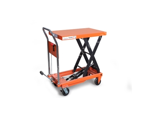 500 Kg Platform FP-PM-SYTJ-50