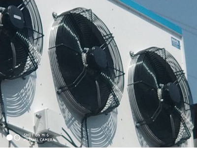 Yaprak Buz Makinası Buz Makinesi Kar Buz Makinası 5000 Kg/ 24H  - 11