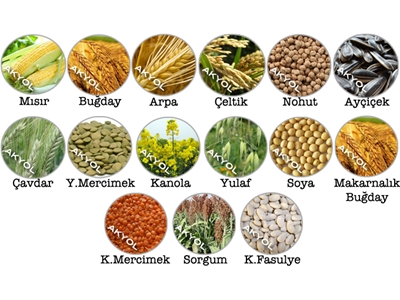 Tahıl Ve Tohum Sıkmalı Nem Ölçer Wile 55 - 4