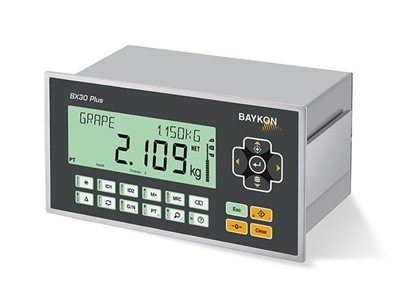 BX30 Plus / BX30D Plus Tartım Göstergesi - 0