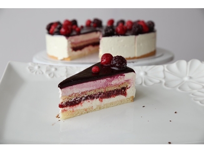 Cake and Sponge Cake Slicing Machine - 1