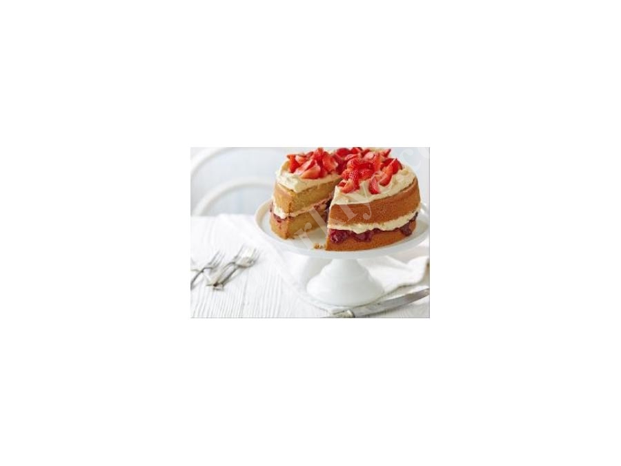 Cake and Sponge Cake Slicing Machine