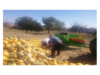 Kabak Karpuz Hasat Makinası TR-1100 - 6