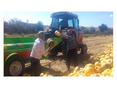 Kabak Karpuz Hasat Makinası TR-1100 - 1