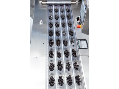 Zeytin Termoform Makinesi - 7