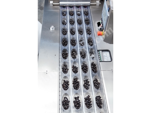 Machine d'emballage sous vide / MAP par thermoformage de haute qualité à prix économique pour olives