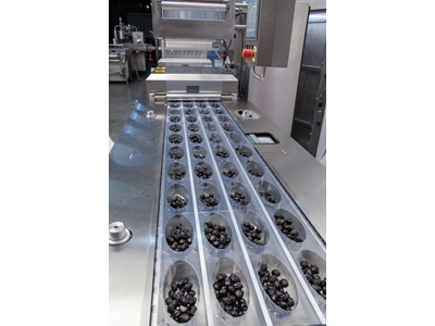 Zeytin Termoform Makinesi - 2