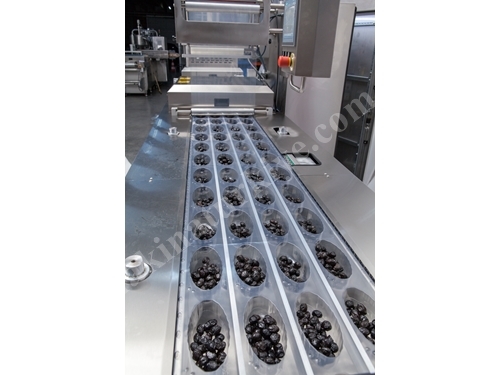 Machine d'emballage sous vide / MAP par thermoformage de haute qualité à prix économique pour olives